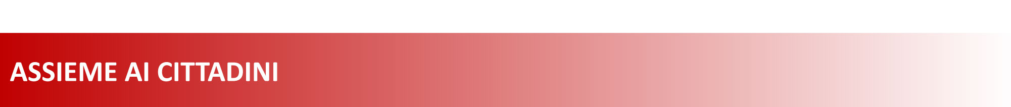 assiemeaicittadini